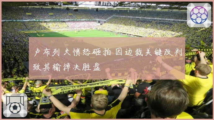 卢布列夫愤怒砸拍 因边裁关键改判致其输掉决胜盘