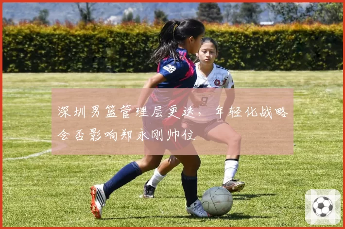 深圳男篮管理层更迭，年轻化战略会否影响郑永刚帅位